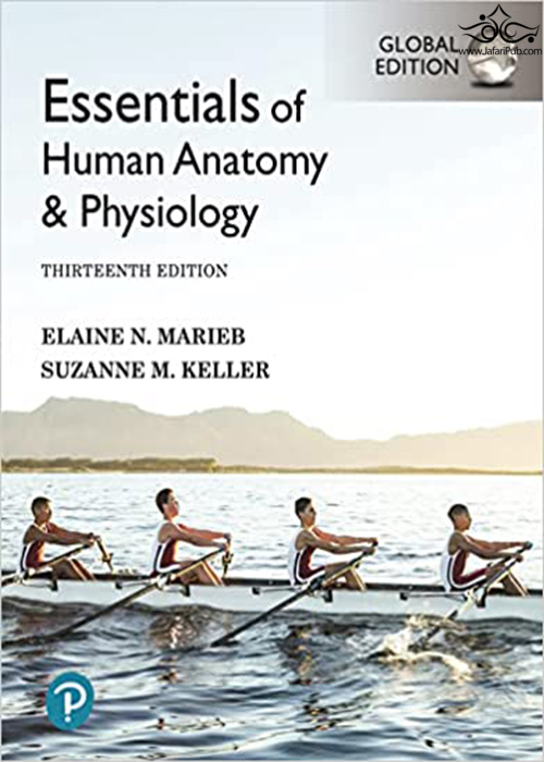 Essentials of Human Anatomy & Physiology [Global Edition] 13th Edición  Pearson Education (US) 